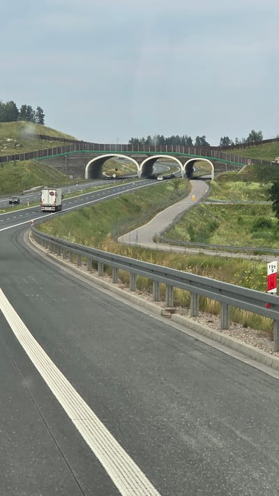 This is a forensic, matter-of-fact description of a highway overpass in Osinki, Poland.

The image captures a multi-lane highway with a white dashed line on the left side and a solid white line on the right side. A grey metal guardrail lines the edge of the highway. Beyond the guardrail, there is a grassy embankment with scattered vegetation and trees.

In the background, two large concrete arch bridges span across the highway. These bridges appear to be part of an overpass or underpass system, possibly for wildlife or to connect different sections of the landscape. The bridges are flanked by earthen berms with protective fencing.

Several vehicles are visible on the highway. A white truck with a red and blue logo on its back is traveling in the right lane. A black car is in the left lane of the highway. Further down the road, two white cars are visible on the highway under the bridges.

A smaller, winding road is visible to the right of the main highway, curving away and disappearing into the landscape. There are also traffic signs visible, including a diamond-shaped yellow sign with a black symbol on the winding road. A red and white marker post with numbers "191 9" is visible on the right side of the main highway.

The sky is overcast with grey clouds. The overall environment suggests a rural or semi-rural setting.