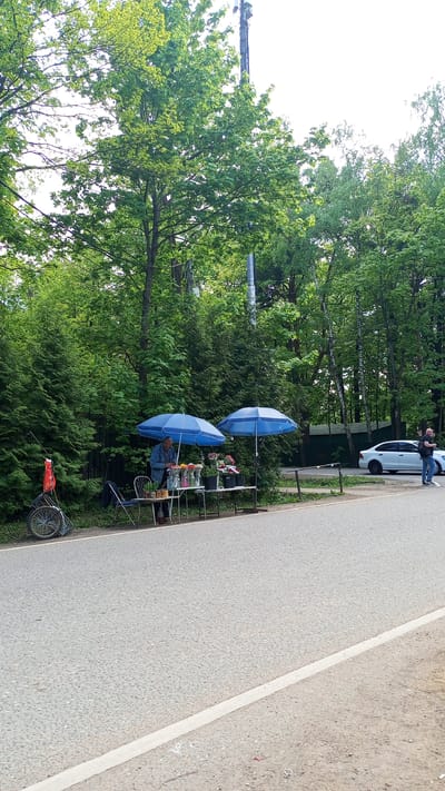 The scene is set in Дубки, Russia, alongside a paved road with a white edge line. A flower vendor stands behind two tables covered by two blue umbrellas, displaying various floral arrangements in vases and buckets. He is working at the stall. A bicycle with a red bag attached is parked nearby. A white car is parked in the background, and a man is standing next to it on a grassy area. The surrounding environment is lush with trees and greenery, suggesting a park or wooded area.