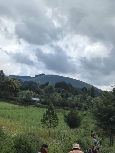 The image depicts a landscape in a rural area, possibly within the Municipality ward of Kenya. The scene includes a verdant hillside under a cloudy sky. The hill is densely vegetated with trees and shrubs, sloping upwards toward a ridge. In the mid-ground, a small field is visible adjacent to a single-story structure with a corrugated metal roof.

A group of people are walking along a path that meanders through the vegetation. Some are wearing light-colored clothing. The foreground includes tall grasses and foliage that obscure the lower portions of the figures.