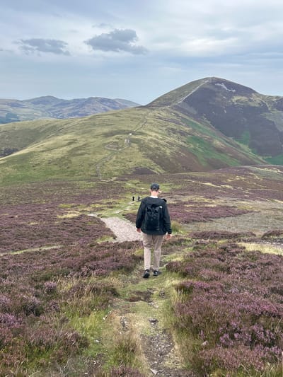A lone hiker with a black backpack and light-colored pants walks away from the camera on a gravel path through a field of purple heather. Behind the hiker, the path continues up a grassy slope towards a larger, barren mountain. In the distance, rolling green hills under a cloudy sky complete the mountainous landscape. The scene appears to be a rural hiking trail, likely in the Pentland Hills Regional Park, which is located near Penicuik, United Kingdom.