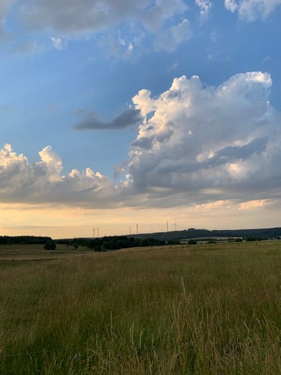 The image depicts a vast, grassy field under a cloudy sky, with a distant treeline and several wind turbines visible on a gentle slope. The foreground is dominated by tall, dry grass, suggesting a rural or agricultural setting. The sky features dramatic cumulus clouds, some illuminated by sunlight, interspersed with areas of blue sky. The overall impression is of a natural landscape at either sunrise or sunset, given the warm glow on the horizon and the soft lighting. The scene is devoid of any people or animals. The location is identified as Beltershain, Germany.
