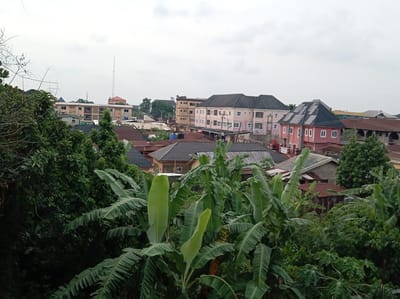 This image provides an elevated view of a residential area in Orie Uratta, Nigeria, characterized by a dense mix of buildings and lush tropical vegetation under an overcast sky.
In the foreground and midground, a profusion of green foliage dominates, with several large-leafed plants resembling banana or plantain trees prominently featured. Beyond the trees, numerous buildings form the urban landscape. These structures vary in size and color, including multi-story residential blocks. Notable among them is a large, light brown building with blue window frames on the left, and further to the right, a multi-story pink building with a dark-tiled roof. This pink building is distinctive for the array of solar panels installed on its rooftop. Another similar light pink building stands nearby. Most roofs appear to be dark grey or reddish-brown, indicative of corrugated metal or tiled materials.
Utility poles and overhead lines are visible throughout the residential areas, suggesting a typical urban infrastructure. In the far distance, a tall, slender antenna or mast rises above the rooftops, possibly a communications tower. An electricity pylon can also be glimpsed on the distant left horizon.
The sky is uniformly grey and overcast, indicating a cloudy day, which diffuses the light and prevents harsh shadows, suggesting either morning, late afternoon, or simply an overcast period. No individuals or specific activities are visible, presenting a static, observational landscape. While some red and white signage is present on the pink building with solar panels, the text is not legible from this distance and resolution. The overall scene depicts a vibrant, green, and densely settled community in a tropical setting.