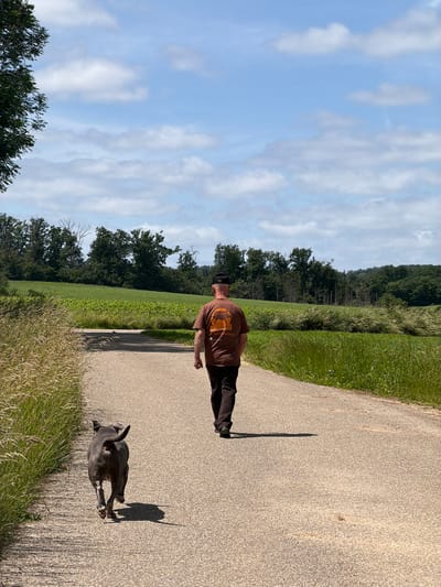 An adult male, viewed from behind, walks on a light gray paved path in the rural vicinity of Junglinster, Luxembourg. He wears a dark brown short-sleeved t-shirt with a light-colored graphic and text on the back that includes "BELTAINE" and "KELTFESTIVAL". A dark beanie covers his head, and he wears dark trousers. Approximately five feet ahead and to his left, a medium-sized, dark gray short-haired dog, consistent with a Pitbull-type breed, trots forward with its tail curled upwards. Both the man and the dog cast distinct shadows towards the left side of the path, indicating bright overhead sunlight.
The paved path features several scattered darker stains on its surface and gently curves to the left in the distance. The left edge of the path is bordered by tall, dry, light brown grasses and weeds. The right side of the path transitions from short green grass to a field of young, evenly spaced green crops. Beyond the immediate fields, the mid-ground displays a varied landscape of mature green trees, with several clusters of trees showing bare or dying branches, particularly in the center-left. A dense, dark green forest forms the distant horizon. The upper portion of the image reveals a bright blue sky with numerous scattered white cumulus clouds of various sizes and densities.