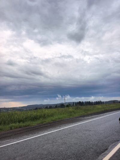 The image depicts a landscape scene in Bol'shaya Sosnova, Russia, under a cloudy, overcast sky. A wet asphalt road with a white line marking runs diagonally across the lower right portion of the frame. To the left of the road, a vibrant green grassy field stretches into the distance, dotted with yellow wildflowers. Beyond the field, a dense line of dark green coniferous trees forms the horizon, with a distant hilly landscape and scattered buildings visible further back. A solitary utility pole stands near the treeline on the left. The atmosphere is somber and moody due to the heavy, dark clouds dominating the sky, suggesting impending rain or recent rainfall, as indicated by the wet appearance of the road. The overall impression is one of a rural, natural setting on a cool, possibly damp day. There is no discernible text in the image.