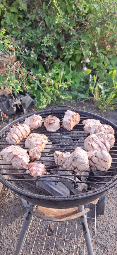 This media file captures a close-up, overhead view of meat cooking on a charcoal grill. The scene is set outdoors, with lush green foliage and small red berries visible in the background, suggesting a natural or garden environment. The meat, appearing to be pieces of pork or chicken, is arranged on a black metal grill grate over hot charcoal. Some pieces show distinct grill marks, indicating they are actively being cooked. The lighting suggests it is daytime, possibly late afternoon given the angle of the light and the warm tones. The overall impression is one of casual outdoor cooking, perhaps a barbecue or gathering. There is no visible text in the image. The location context provided is Verkhneural'sk, Russia, which places the scene in a specific geographical area.