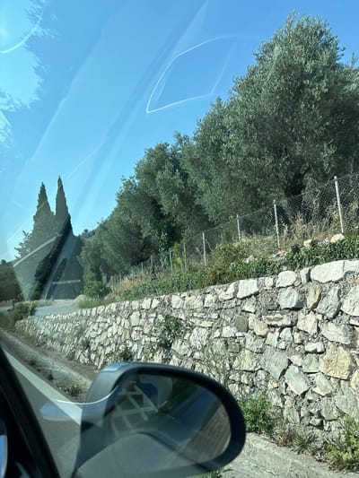 The image is taken from inside a vehicle, looking out through the windshield and side mirror. The scene depicts a roadside in a rural, Mediterranean-like environment. Dominating the left side of the image is a dense, green olive tree with its foliage reflecting in the glass. Beyond the tree, a clear blue sky with faint contrails is visible.

To the right of the trees, a stone wall constructed from irregular, light-colored stones forms a retaining wall along a road. Green vegetation, including grass and ivy, grows between the stones and along the top of the wall. A wire mesh fence runs along the top of the stone wall, separating it from a grassy area with some dry plants. The road itself appears to be paved with asphalt and is bordered by the stone wall.

In the foreground, on the right side of the image, the edge of the car's side mirror is visible. The mirror reflects an abstract pattern of crossed lines, likely from a ceiling or an interior element of the car. Further down the road, a road sign is partially visible, with some text that is difficult to read clearly but appears to include "CAR WASH."

The overall impression is of a sunny day, likely morning or afternoon, given the bright sunlight. The setting suggests a location with a warm climate, possibly southern Europe or the Mediterranean, consistent with the provided location context of Donji Katun, Montenegro. No people are visible in the image. The image conveys a sense of travel and observation of the passing landscape.