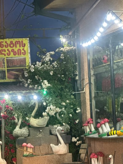 This image captures an outdoor shopfront or restaurant entrance in Manavi, Georgia, under low light conditions, indicating evening or night.
The upper left shows a dark blue sky with a visible metal trellis or pergola structure, supporting some sparse leafy vines. To the left, a yellow banner with red Georgian text, "ნაზუქი ლაზიკა" (Nazuki Lazika), is displayed. Below the text, a grid features images of various food products, including rows of what appear to be sausages or churchkhela.
The central and lower portions of the scene are densely decorated. Two strands of spherical white light bulbs are strung across the upper-right, illuminating the area. A prominent feature is a large bush of white roses in full bloom, obscuring much of the background. Within this bush, a single green light is visible. In the foreground, multiple white swan garden statues are positioned on stacked stone or brick planters. To the far left, behind one of the swans, red roses are also visible.
To the right, a section of a building with vertical brownish stripes transitions into a large glass display window. Reflections are visible in the glass, but the interior also shows items: an upper shelf holds numerous dark objects and a red, possibly Coca-Cola branded, item. Below, shelves display rows of packaged goods in various colors, including red, green, and yellow. On a low ledge in front of the window, several groupings of red-capped mushroom statues with white stems and green bases are arranged, along with a yellow and black striped bee figurine. A small wooden step ladder is also present to the right of the swan statues. No people are visible in the scene.