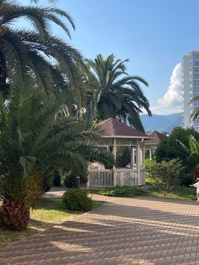 The image depicts a sunny outdoor scene in Gagra, Abkhazia. In the foreground, a paved walkway made of brick pavers leads diagonally into the frame from the bottom right. To the left of the walkway, a large palm tree with a textured trunk is visible, with its fronds arching over the path.
Further into the scene, a white gazebo with a brown roof stands prominently. Inside the gazebo, a person, possibly a child, is seated. Behind the gazebo, more lush green foliage and trees create a dense natural backdrop.
In the distance, a modern high-rise building with many balconies is visible on the right side of the image, contrasting with the natural elements. Behind the building and the greenery, a range of hazy blue mountains form the horizon under a clear blue sky with a few scattered white clouds. The overall atmosphere is serene and tropical.