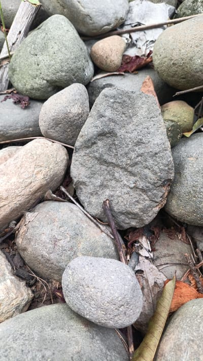 The image shows a close-up view of a collection of smooth, rounded river stones of varying sizes and colors, ranging from light grey and tan to green and brown. Some of the stones are partially covered by dry leaves and small twigs, suggesting an outdoor environment. The lighting is natural and diffused, creating soft shadows. The image is a static shot, focusing entirely on the texture and arrangement of the stones. No people or animals are visible. The location in the city of Palohlada, Indonesia is not discernible from the visual information presented in the image.