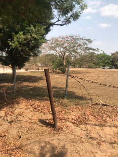 This image depicts a sunny outdoor scene, likely an open field or plot of land, characterized by dry conditions. The perspective is slightly angled, focusing on a rudimentary fence line in the foreground and mid-ground.
Two metal fence posts are visible: the closest one on the right is a rusty, brown pipe, while another further back and to the left is a grey post with a band of blue tape near its base. A rusted metal chain is strung between these posts, and several strands of barbed wire are also visible, either attached to the posts or lying on the dry ground.
The ground itself is composed of light brown, dry earth with sparse patches of light green grass and numerous scattered dry leaves, suggesting arid or dry season conditions. Long shadows stretch across the ground from the fence posts and possibly other unseen elements, indicating either an early morning or late afternoon sun.
In the mid-ground and background, a variety of trees with green foliage are present. One prominent tree in the mid-left features striking red or orange blossoms, possibly a Flamboyant or Royal Poinciana. The sky above is a clear, light blue with some wispy white clouds. In the far background, hints of distant structures or vehicles can be seen through the tree line.
The scene conveys a sense of quiet and stillness, with no people or specific activities occurring. The overall impression is one of a sun-drenched, somewhat rustic landscape under clear weather conditions. This setting is located in Umudike, Nigeria. There is no visible text in the image.