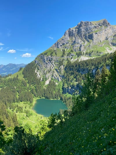 The image depicts a scenic view of a mountainous landscape in Axalp, Switzerland. In the foreground, a slope is covered with lush green grass and dotted with small yellow and white wildflowers. Beyond this, a clear turquoise lake is nestled within a valley. The lake is surrounded by dense evergreen forests that climb up the steep slopes of the mountains. The mountains themselves are rugged and rocky, with visible layers of stone and patches of green vegetation. The sky above is a vibrant blue with a few wispy white clouds. The overall impression is one of natural beauty and tranquility. There are no people or animals visible in the image.