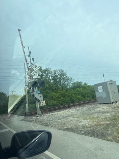 The image shows a railroad crossing in Des Plaines, Illinois, United States of America. The railroad crossing has a barrier arm, two signal lights, and a crossbuck sign indicating it is a two-track crossing. The crossing arm is lowered. The location is on or near Algonquin Road, at milepost 10.5. A gray rail transport container is beside the tracks. The image was taken from a vehicle. The vehicle's side mirror is visible in the bottom right of the frame. Overcast sky. Trees line the railway.
