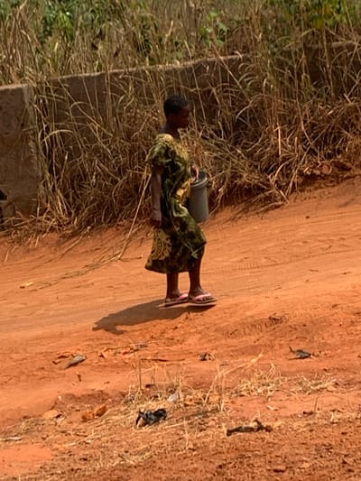 An adult female, with dark skin and short dark hair, is depicted walking from left to right on a reddish-brown dirt path in Aguleri, Nigeria. She wears a dark green, patterned, short-sleeved, calf-length dress and pink and white flip-flops. In her right hand, she carries a light grey plastic bucket. Her shadow is cast behind her on the uneven ground, which exhibits tire tracks and scattered dry plant matter and debris. The background features a partial concrete or stone retaining wall obscured by dense, dry, tall grasses and other vegetation. The scene is brightly lit under direct sunlight.