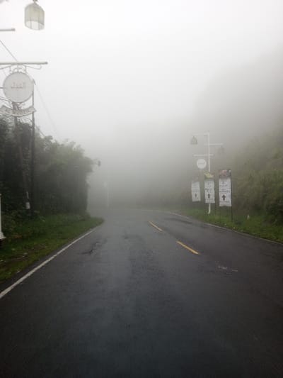 The scene depicts a fog-laden, uninhabited asphalt road in Neerveli, Sri Lanka. Dense white fog severely restricts visibility, obscuring the background and midground. The wet road surface features two solid yellow center lines and a solid white line marking the left edge, with minor cracks visible. Lush green vegetation lines both sides of the roadway. On the left, a utility pole stands near a decorative white pole displaying a circular sign with Arabic script 'العدل' (Al-Adl) and Latin script 'AL MUDZIL', topped by a single lantern-style fixture. On the right, another decorative white pole supports three lantern-style fixtures and a circular sign with Arabic script 'الصافي' (Al Safi) and Latin script 'AL SAFI'. Below this pole, three rectangular banners with upward arrow indicators are partially visible; one banner includes the word "PUNCAK". No individuals, vehicles, or active interactions are present.