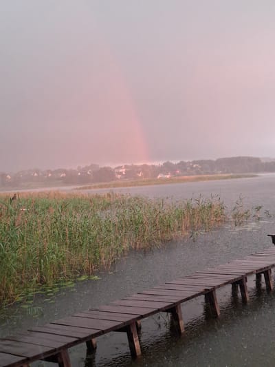 This image depicts a serene, yet melancholic, scene at a lake or river in Слабодкаўскі сельскі Савет, Belarus. A wooden pier extends diagonally into the water from the lower right of the frame. The pier is constructed of weathered wooden planks supported by dark wooden posts submerged in the water. The surface of the water is disturbed by falling rain, with numerous small ripples visible. Along the left and middle ground of the image, tall green reeds grow densely in the shallow water. Beyond the reeds, a hazy line of trees and buildings suggests a settlement on the far bank of the body of water. The sky is overcast with a soft pinkish hue, and a faint rainbow is visible in the upper left quadrant, arching through the mist. The overall atmosphere is one of quiet solitude and the gentle encroachment of nature.