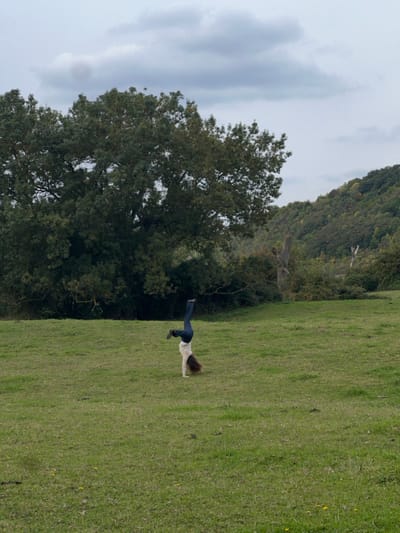 An outdoor scene in Vernon, France, captured under an overcast sky. A single individual is positioned centrally in a large, open grassy field, performing a handstand. The subject is wearing dark blue jeans and a light-colored, long-sleeved top, with long brown hair hanging towards the ground. The immediate environment consists of short green grass with minimal ground cover. In the background, to the left, a mature deciduous tree with dense green foliage is prominent. To the right, a wooded hillside with varying shades of green and some autumnal hues rises, featuring scattered scrub brush and visible dead tree stumps at the field's edge.