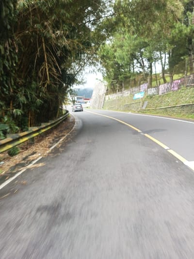 The image depicts a paved asphalt road curving to the left, likely in Bangtsho, Bhutan. The road surface appears damp, exhibiting motion blur, indicating a moving camera perspective. A solid yellow line delineates the center, and a solid white line marks the right edge of the visible roadway. On the left side of the road, dense bamboo and other green foliage form a thick barrier, with a weathered yellow and black guardrail visible below. Dried leaves and debris accumulate between the guardrail and the road's edge. On the right, an uphill embankment features a stone retaining wall, partially covered in moss or small vegetation, with sections displaying multi-colored graffiti. Above the retaining wall, coniferous trees and grassy slopes are visible. In the distance, a dark-colored sedan travels away from the viewer, navigating the left curve. Further beyond the car, several buildings and distant mountains are discernible under an overcast sky. No individuals are present in the scene.