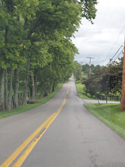 The image captures a view from a moving vehicle on a two-lane paved road in Lexington, Kentucky, USA. The road is lined with a row of mature trees with lush green foliage on the left side of the image, partially obscuring a stone wall and a wooden fence. On the right side of the road, the terrain slopes upward, covered in manicured green grass. Several utility poles with wires are visible along the right side of the road, extending into the distance. The sky is overcast with gray clouds. The road itself has a slight sheen, suggesting it may be wet. Double yellow lines mark the center of the road, indicating a no-passing zone. The overall impression is one of a rural or semi-rural setting on a cloudy day.