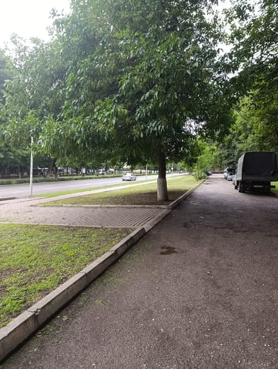 The image depicts a street scene in Grozny, Russia. A wide asphalt road runs horizontally through the frame, with a sidewalk and a grassy area bordering it. Several vehicles are present, including a large truck with a dark canvas cover parked on the right side of the road, and a white sedan driving on the road. The street is lined with mature trees that form a canopy over parts of the sidewalk and road. In the background, more trees and some buildings are visible, suggesting an urban or semi-urban environment. The lighting suggests it is daytime, possibly overcast.