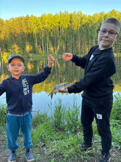 The image depicts two males, identified as children, standing on a grassy bank beside a calm body of water, likely a lake or pond, in Мишкино, Russia. The background features a dense forest composed of both coniferous and deciduous trees, with their reflections visible on the water's surface under a clear, light blue sky. The lighting suggests late afternoon or early evening.
On the left, a younger male child, estimated to be between 4 and 6 years old, faces forward. He wears a grey baseball cap with "SURFING" embroidered on the front, a dark blue zip-up hoodie featuring a multicolor graphic depicting "NEW GAME" and pixelated figures, blue sweatpants, and dark blue Crocs worn over patterned socks. His right arm is raised with his fist clenched, and a thin, barely visible fishing line extends upward from his hand. His facial expression indicates a slight smile.
On the right, an older male child, estimated to be between 8 and 12 years old, stands facing forward, tilted slightly to his left. He wears dark-framed eyeglasses, a black long-sleeved sweatshirt with a small white square logo on the upper left chest, black sweatpants with a white square Air Jordan logo on the right thigh, and black sneakers. He holds a silver-grey freshwater fish, approximately 20-25 cm long, horizontally in his cupped hands, presenting it towards the viewer. His left hand holds a fishing line, from which a green and orange fishing bobber is visible. His facial expression also indicates a slight smile.
A fishing net is partially visible on the grass behind the younger boy, near the water's edge. The ground beneath the boys is uneven and covered with green grass and various plants. Both children are looking directly at the camera.