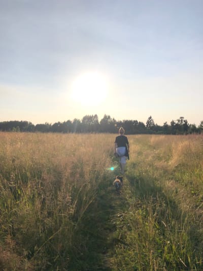 A woman with blonde hair pulled into a bun walks through a field of tall, dry grass towards a line of trees at sunset. She is wearing a dark t-shirt, light-colored shorts, and a dark jacket tied around her waist. A small, dark-colored dog walks ahead of her on a path in the grass. The sun is low in the sky, creating a bright haze and casting a warm glow over the scene. The location is a meadow in Makeikha, Russia.