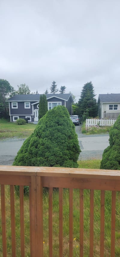 The image depicts a residential neighborhood scene, likely in St. John's, Canada, given the architectural style of the houses and the presence of coniferous trees. In the foreground, a wooden railing of a deck or porch is visible, with green grass and some yellow wildflowers below. Beyond the railing, a dark gray house with white trim and windows is centrally located. A large, rounded green shrub or tree stands in front of this house, partially obscuring it. To the right of this house, a lighter colored house with a white picket fence and flowerbeds is visible. A silver SUV is parked on the asphalt driveway between the two houses. The sky is overcast and appears a uniform gray, suggesting a cloudy day. The overall impression is one of a suburban or semi-rural residential area on a moderate, cloudy day.