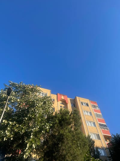 The image shows a yellow and red multi-story building against a clear blue sky, with a street lamp and trees in the foreground. The building has multiple windows and balconies. The lower portion of the image is filled with lush green trees, including a large tree with light-colored leaves and a darker, denser evergreen tree. The scene appears to be in an urban setting.