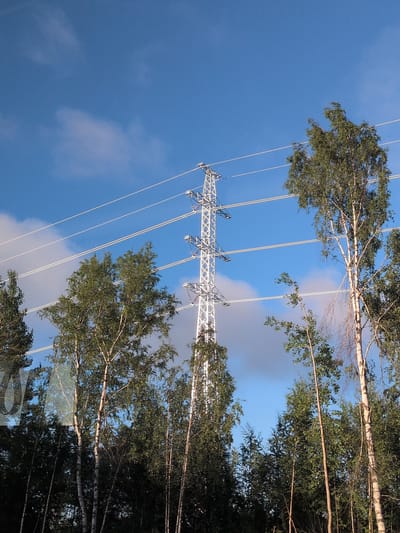 The image shows a clear blue sky with scattered clouds, seen from below. In the foreground, a dense line of deciduous trees, primarily birch trees with their characteristic white bark, fills the lower portion of the frame. Some of these trees are tall and slender, reaching towards the sky, while others are shorter and more bushy. In the background, a tall, white lattice-style electrical pylon stands prominently, supporting multiple parallel power lines that stretch across the image. The pylon is a significant man-made structure within a natural setting. The scene is illuminated by natural daylight, suggesting it was taken during the day. The overall impression is one of a natural landscape interspersed with industrial infrastructure. Based on the information provided in the prompt, the location is in the city of Vantaa, Finland.