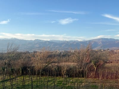 A landscape features bare trees and a field of short grass in the foreground, with wooden stakes planted throughout. A cluster of buildings is nestled among other trees in the midground, with a hazy valley beyond. The background showcases a mountain range, some peaks capped with snow, against a light blue sky with wispy clouds. The overall scene suggests a rural or countryside setting during the colder months.