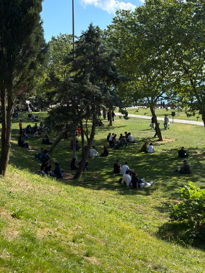 A photograph, oriented vertically, shows a park in Kadıköy, Turkey. Sunlight illuminates a green grassy area with groups of people sitting or kneeling on the grass. Tall trees cast shadows on the ground. The sky is partially visible with blue sky and white clouds. A utility pole extends into the frame from the left. The people are dressed in various clothing, and appear to be engaged in prayer or reflection.