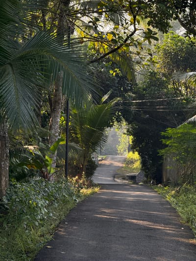 A paved, narrow road winds through lush, tropical vegetation in Alian, Indonesia. The road curves to the right, leading uphill into a sun-dappled forest. Tall palm trees and dense green foliage line both sides of the road, with sunlight filtering through the leaves, creating dappled shadows on the asphalt. A dark, vertical pole is visible on the left side of the road, partially obscured by palm fronds. Further up the road, a cluster of buildings and trees are visible, shrouded in a light mist. The overall scene depicts a serene and natural environment, characteristic of a rural or semi-rural area in Indonesia. There are no people or animals visible in the image.