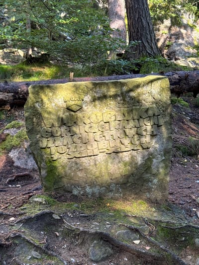 The image displays a weathered, rectangular stone monument standing upright in a forest environment within Karpacz, Poland. The stone is heavily textured and covered in patches of green moss and lichen. Carved into its front face are raised, block-style letters in Polish. At the upper left, a shield-shaped emblem contains indistinct letters. Below and to the right, the inscription reads across four lines: "WIELKA ROBLNKA," "GORNICZKA," "SZLACHETNA," and "KROLOWNA." The base of the monument is surrounded by dark soil, from which numerous prominent tree roots emerge and traverse the immediate foreground. The forest floor consists of loose soil, small stones, and further patches of moss. In the background, several large tree trunks are visible, including one fallen horizontally log directly behind the monument. Dense green undergrowth and other moss-covered rock formations complete the backdrop. Sunlight filters through the tree canopy, creating bright areas on the stone and the ground, emphasizing the carved details and the natural textures. No individuals or animals are present in the scene.