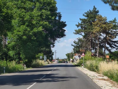The image depicts a road scene in Krushovitsa, Bulgaria. The photograph is taken from the perspective of someone driving on a paved road, which curves slightly to the right in the foreground and stretches into the distance. The road is lined with trees on both sides, with dense green foliage dominating the left side and pine trees on the right. Overhead power lines are visible, strung between poles.

In the distance, the road leads towards a small settlement with houses and buildings, some with red-tiled roofs. Several cars are visible on the road ahead, suggesting ongoing traffic. On the right side of the road, there are several signs. One sign indicates a speed limit of 30. Another sign, with red and white stripes, appears to be a road marker. A triangular warning sign with a red border and a white interior is also present. A wider sign displays text, which appears to be "Krushovitsa" in Cyrillic and Latin script, confirming the location.

The sky is blue with scattered white clouds, suggesting a clear and sunny day. The sunlight casts shadows on the road, indicating it is likely daytime, possibly late morning or early afternoon. The overall impression is a peaceful, rural roadside view.