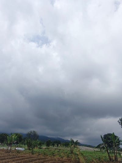 An outdoor scene in Đăk La, Vietnam, depicts an agricultural landscape under a heavily overcast sky. The upper portion of the image is dominated by dense, grey cloud cover, with a small patch of lighter sky visible towards the top-left. The midground features cultivated fields with tilled brown earth arranged in rows, interspersed with areas of green vegetation. Several banana trees, characterized by their large leaves, are present on both the left and right sides of the midground. Other smaller trees and shrubs are scattered across the terrain. A white tarp or sheet is visible on the ground in the mid-left. In the distant background, a range of mountains is visible, partially obscured by the low-hanging clouds and atmospheric conditions, appearing as dark, undulating forms against the horizon. No human figures or animal life are visible.