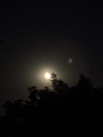 An image taken at night in Kurortne, Ukraine, shows the moon partially obscured by clouds and trees. The moon is a bright, luminous orb in the upper center of the frame, surrounded by a soft halo of light. Silhouetted against the moon are the dark shapes of tree branches and leaves, suggesting a canopy of foliage in the foreground. The sky is a deep, dark hue, indicating nighttime. A faint, greenish-blueish glow is visible in the upper right quadrant of the sky, possibly another atmospheric phenomenon or lens artifact. The overall scene evokes a serene and somewhat mysterious nighttime landscape.