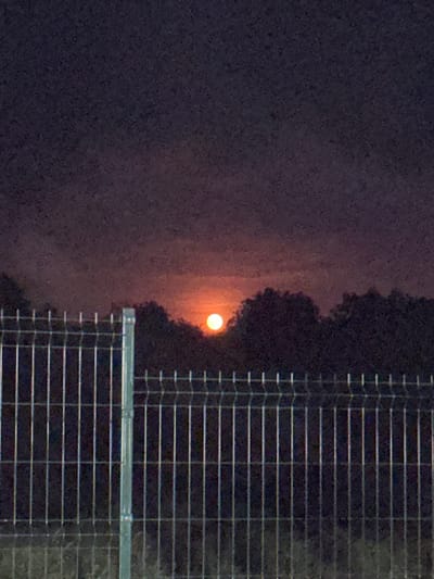 A fence made of horizontal bars and vertical wires runs across the foreground of the image. Behind the fence, a line of dark trees is silhouetted against a reddish-orange sky. In the upper center of the sky, a bright, glowing circle, possibly the moon or sun, is visible. The sky itself is a deep, dark purple. The location is the city of Zvenyhorodka, Ukraine.