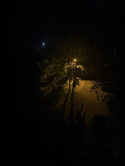 The image captures a dimly lit outdoor scene at night. A streetlamp illuminates a pathway or road, casting long shadows from the surrounding trees. The light from the lamp creates a warm, yellow glow on the ground and foliage. The area appears to be a park or a residential street with dense vegetation. The overall mood is somewhat dark and atmospheric, with limited visibility beyond the immediate area lit by the streetlamp. There are no people or visible activity depicted in the image. The specific location in Vitsebsk, Belarus, cannot be determined from the visual information provided.
