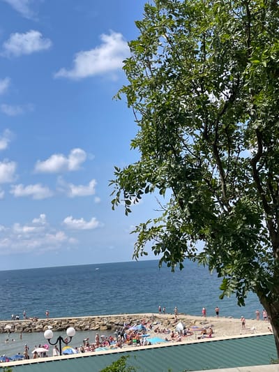 This image captures a bright, sunny day at a beach in Lermontovo, Russia. The scene is dominated by a large, leafy green tree in the foreground, partially obscuring the view of the beach and the Black Sea beyond. The sky is a clear, vibrant blue with scattered white clouds.
The beach is populated with numerous people enjoying the water and the sand. Some are swimming or wading in the shallow water, while others are sunbathing on towels and under umbrellas. A breakwater made of large rocks extends into the sea, with several individuals standing on it. Along the shoreline, there are various beach umbrellas and what appear to be lounge chairs.
In the middle ground, the dark blue water of the Black Sea stretches to the horizon, where it meets the sky. A small white object, possibly a boat or a buoy, is visible on the water. Closer to the shore, a few people are visible swimming. In the immediate foreground, a green, corrugated surface suggests a rooftop or awning, with a black lamppost featuring two white globe lights. The overall impression is one of a lively and popular summer vacation spot.