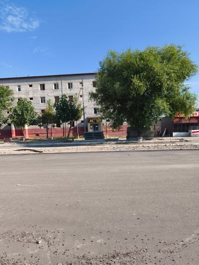 The image depicts a street scene in Buz, Uzbekistan, on a clear, sunny day. In the background, a long, multi-story building with a rough, concrete facade and a dark red lower section stands. The building has numerous windows, some open and some closed. In front of the building, a large, leafy tree dominates the right side of the frame, casting a shadow. To the left of the tree are several smaller trees and a small, booth-like structure with signage that reads "MC COSIM". Piles of what appear to be concrete blocks or construction materials are stacked near the booth and the building. The foreground shows a paved road with some debris and uneven patches, suggesting ongoing construction or repair work. The overall environment appears to be a semi-urban area, possibly with commercial or residential buildings, set against a bright blue sky.