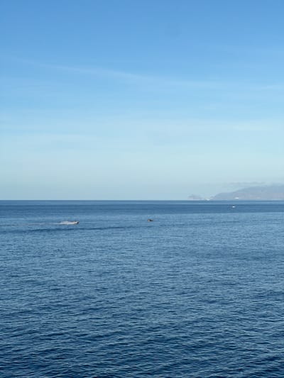 The image depicts a vast expanse of the Tyrrhenian Sea off the coast of Sperone, Italy, under a clear, light blue sky. The horizon line is sharp and runs horizontally across the upper middle of the frame. The sky, occupying the upper 40%, is a pale cerulean with faint, wispy cloud formations. The sea, comprising the lower 60%, is a deep, tranquil blue with discernible ripples on its surface, indicating calm conditions.
In the mid-left section of the sea, a small, light-colored motorboat is observed in motion, traveling from left to right, leaving a prominent white wake behind it. Further right and slightly closer to the foreground, a dark, rounded object, consistent with a marine animal such as a dolphin or small whale, is partially visible above the water's surface. Along the distant horizon on the right, hazy, light blue-grey mountains and a distinct rocky outcrop are discernible, indicating a distant coastline. A tiny white object, possibly another boat or buoy, floats near the horizon on the right side, closer to the distant landmass.
