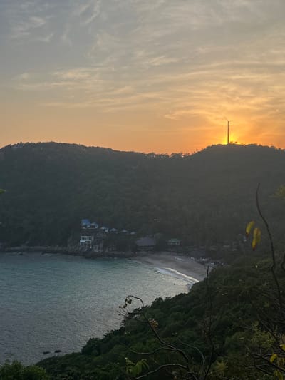 The image presents a panoramic view of a coastal bay and surrounding forested hills in Ko Tao, Thailand, at sunset. The sky transitions from a light blue-grey with wispy clouds at the top to a bright orange and yellow glow near the horizon, indicating the setting sun. A three-bladed wind turbine is silhouetted against the intense sunlight on the crest of a densely forested hill in the upper right quadrant.
The bay features calm, turquoise-to-dark blue water leading to a crescent-shaped sandy beach at the base of the hills. Along the shoreline and partially embedded into the lower slopes of the dark green, thickly vegetated hills, numerous man-made structures are visible. These include several white or light-colored buildings, some with distinctive blue roofs, likely representing bungalows or residences, and a larger, darker-roofed building positioned closer to the beach. The immediate foreground contains out-of-focus dark branches and foliage, some displaying small, spherical, light-colored fruits or pods, indicating the elevated, vegetated viewpoint. No individuals or active interactions are discernible within the scene.