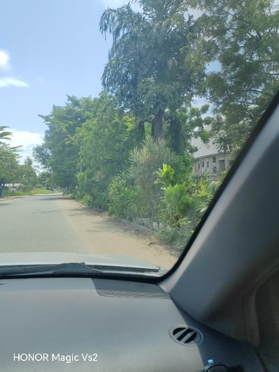 The image presents a forward-facing view from inside a vehicle, likely in Festac Town, Nigeria, under a clear, bright sky. The vehicle's dark gray dashboard occupies the lower portion, featuring a black windshield wiper base, a speaker grille on the right, and an air vent on the far right. The text "HONOR Magic Vs2" is digitally inscribed in the bottom left.

Outside the windshield, a paved road, possibly constructed with interlocking pavers or bricks, extends into the distance on the left. To its right, an unpaved dirt shoulder runs alongside. A dense line of green vegetation, including various trees and bushes, borders the shoulder on the right. A prominent, tall tree with dark, possibly palm-like fronds stands in the mid-right. Partially obscured by the foliage in the background on the far right, a light-colored, multi-story building with a dark roof is visible, exhibiting exposed construction materials and several window openings. No individuals or active subjects are discernible within the frame.
