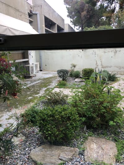 The media file presents an outdoor scene viewed through a window, looking out onto a garden space and surrounding buildings. The perspective is from indoors, with a dark window frame partially visible in the foreground.
The central part of the image features a rocky garden bed with various green plants and bushes, including what appears to be an agave or similar succulent, and another shrub with red berries in the lower right. Large, light-colored boulders are placed among smaller gray gravel, which covers much of the ground. Patches of moss or algae growth are visible on the concrete or paved areas, suggesting dampness or recent rainfall.
To the left, a tall, multi-story concrete building with distinctive geometric cutouts near its top dominates the background. Further back on the right, a plain concrete wall defines the garden's boundary. Below this wall, two white air conditioning units are mounted on the side of a lower building. Tall trees with dense foliage are visible against a bright, overcast sky in the upper left.
The scene appears to be set during the daytime, under soft, diffused light, indicating a cloudy or overcast sky. There are no people visible, and no specific activity is taking place. The architecture and vegetation types suggest a Mediterranean climate, consistent with the provided location context of Agia Paraskevi, Greece. No visible text is present in the image.