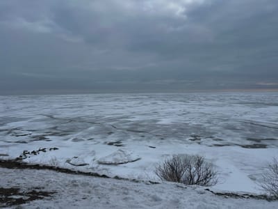The image presents a wide view of a frozen body of water under an overcast sky, located in Primorka, Russia. The upper half of the frame is dominated by a uniformly grey, cloudy sky. A subtle, narrow band of faint orange-pink light is visible along the far right horizon where the sky meets the water.

The midground and distant background consist of an expansive body of water, completely or predominantly covered by a fragmented layer of ice and snow. The ice surface displays a mosaic of white snow, lighter grey ice, and darker grey/black patches, indicating areas of snow cover, exposed ice, and potentially open water or very thin ice. Irregular cracks and distinct ice floe patterns are visible across the entire frozen surface, extending to the distant horizon.

The foreground depicts a snow-covered embankment or shoreline, sloping downwards towards the frozen expanse. Patches of dark earth or rock are visible interspersed with the snow along the immediate edge of the land. Scattered, leafless deciduous bushes or shrubs with dark branches are present on the snowy bank in the lower right and center-left areas. Large, irregularly shaped blocks of ice and snow accumulate along the water's edge in the foreground. No individuals, animals, or man-made structures are visible in the scene, which appears static and desolate, characteristic of a cold winter environment.