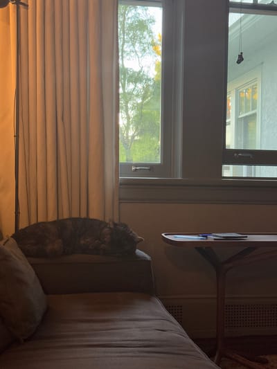 The image captures an indoor residential scene in Electoral Area A, Canada, illuminated by ambient light. A dark-colored tabby cat is curled asleep on the back cushion of a gray or dark brown upholstered sofa or sectional, positioned in the lower-left to mid-left frame. To the left, a cream-colored curtain hangs from a rod, partially obscuring a floor lamp with a black vertical pole. A multi-paned window occupies the central and right portions of the background. Through the left window pane, green foliage from trees is visible, with hints of yellow in the upper foliage suggesting distant light. The right window pane offers a partial view of an exterior white or light-colored building, featuring a visible window. A small, dark, boot-shaped object hangs from a string outside the upper right window frame. A dark wood side table with tapered legs stands in the lower right, holding several flat, dark objects and a light-colored pen or marker. Below the window and behind the side table, a white radiator is visible. The wall behind the table and beneath the window is a solid light brown or beige.