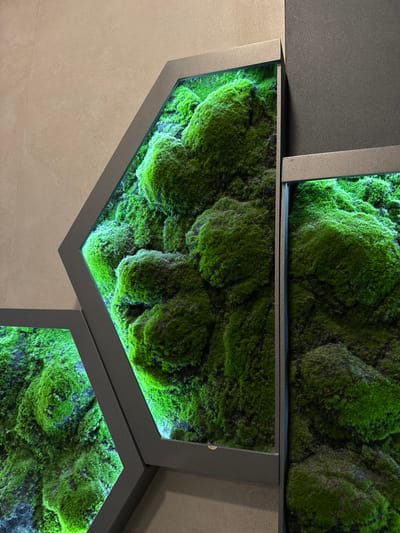 The image shows a wall decoration comprised of interconnected, polygonal frames filled with bright green moss. The frames are a dark gray, possibly metallic material, and have a minimalist design. The moss is densely packed within the frames and appears textured and three-dimensional. The lighting suggests that the moss might be illuminated, enhancing its vibrant color. The wall behind the decoration is a light beige, providing a neutral backdrop that contrasts with the green and gray elements. There are no people visible in the image. There is no information provided about the location being Vorsha, Russia.