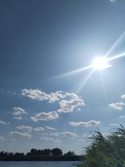 The image depicts a clear blue sky with a bright sun radiating its rays. Several fluffy white clouds are scattered across the sky. In the foreground, a body of water stretches horizontally, with a dark line of trees and dense green vegetation along the far bank, suggesting a natural landscape. On the right side of the image, tall green reeds or grass sway in the foreground, framing the scene. The overall impression is a bright, sunny day, possibly in a rural or natural setting near Bilousivka, Ukraine.