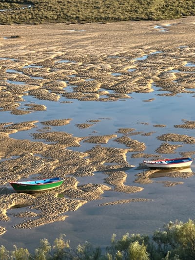 An aerial shot depicts a beach in Vila Real de Santo António, Portugal. The beach is characterized by irregular sandy formations interspersed with shallow water. Two beached boats, one with a red, white, and blue exterior and another with a green, blue, and red exterior, are visible on the sand. The shoreline is bordered by a grassy area on one side and trees on the other.