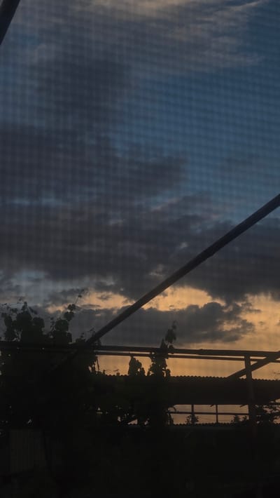 The image captures a sky transitioning between day and night, likely at sunset or sunrise, with the scene oriented vertically. The sky displays a dramatic contrast of dark, stormy blue and grey clouds on the left side, gradually shifting to brighter orange and yellow hues on the right, where the sun's low light illuminates parts of the clouds.

A thick, dark diagonal line, possibly a power line or cable, stretches across the frame from the upper left to the lower right. On the right side, silhouetted against the vibrant sky, is a dark structure that appears to be part of a building or an outdoor canopy, featuring what looks like a corrugated roof and metal framing. Dark, leafy vegetation, possibly vines, grows around and over this structure.

A distinct, subtle grid-like pattern overlays a significant portion of the image, especially prominent on the left, suggesting the photograph was taken through a screen, mesh, or a window with a fine grid. No people or specific activities are visible. The overall mood is contemplative, capturing a tranquil moment at dusk or dawn in Ayntap, Armenia. There is no visible text.