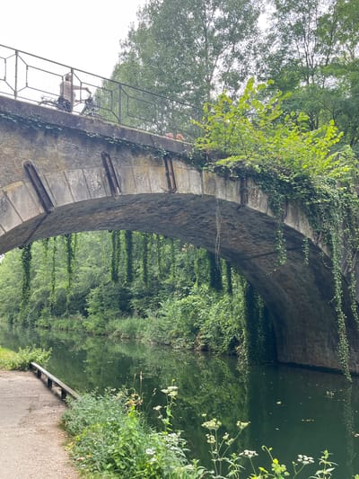 An over-the-shoulder view captures a stone bridge spanning a narrow canal in Sevran, France. The bridge's arch is covered in hanging vines, and the canal's surface is dark green and reflects the lush vegetation on its banks. A person on a bicycle is visible on the bridge, with the bicycle parked behind them. The pathway beside the canal has a bench and is bordered by greenery and wild flowers.